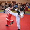 wkf-ec-vienna-2011-005