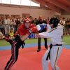 wkf-ec-vienna-2011-011